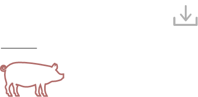 ícono de porcino