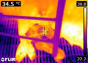 Representación de lechón con pérdida de temperatura