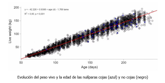 Gráfico de evolución del peso vivo y la edad de las nulíparas cojas y no cojas