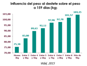 relacion peso destete porcino