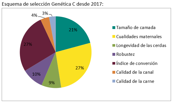 seleccion genetica de las cerdas de reproduccion