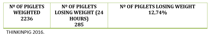 Tabla de número de cerdos pesados y número de cerdos bebés perdiendo peso