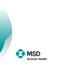 Logo MSD salud animal